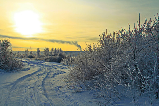 770927 (a): :2592x1728